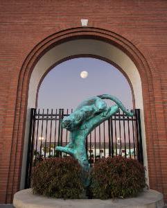 Panther statue in front of the aquatic center, at dusk.